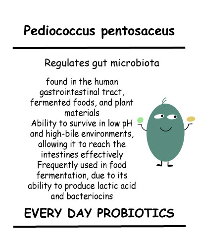 Pediococcus pentosaceus