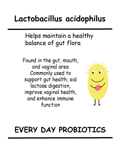 lactobacillus-acidophilus
